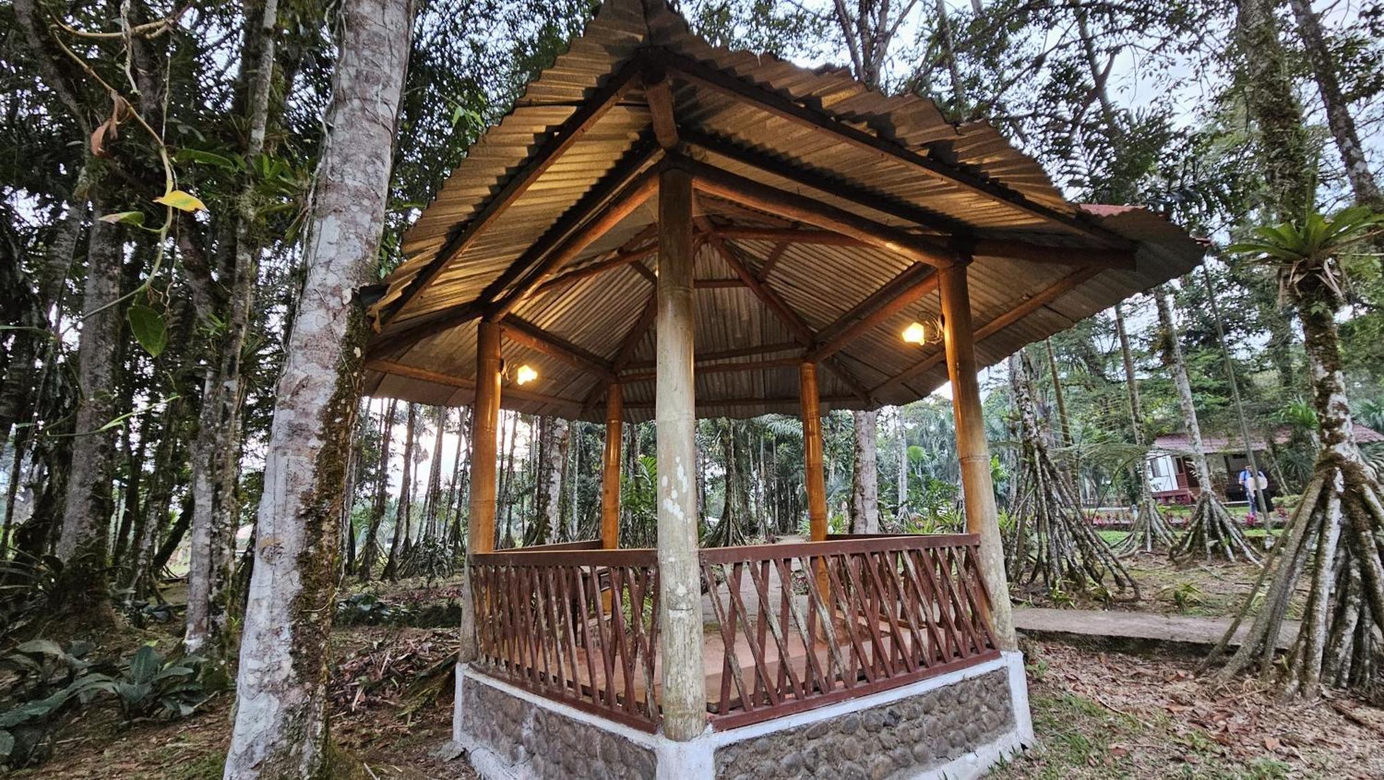 Hosteria Finca El Pigual Puyo Ngoại thất bức ảnh
