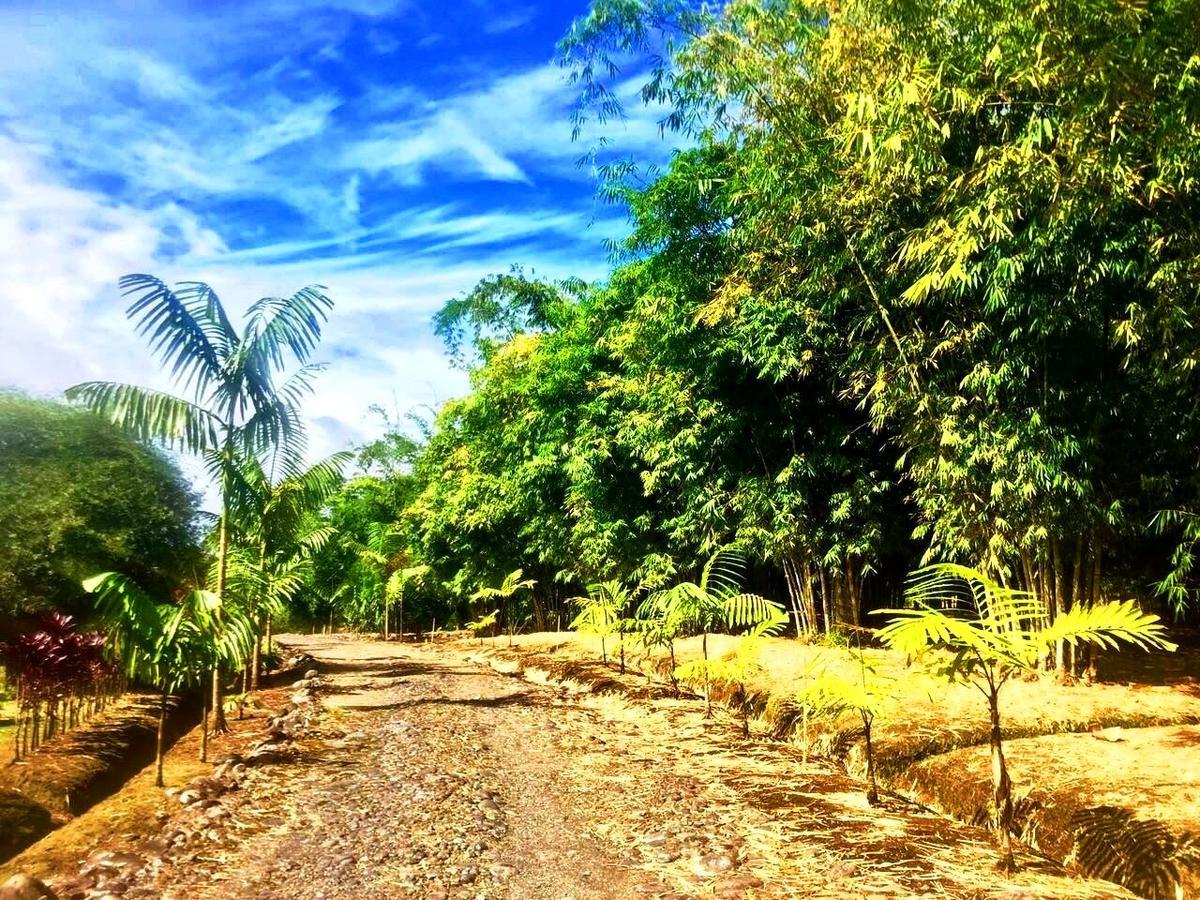 Hosteria Finca El Pigual Puyo Ngoại thất bức ảnh