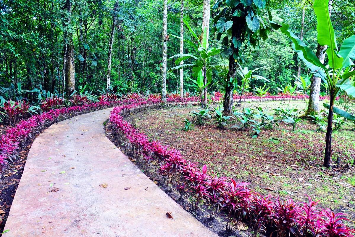 Hosteria Finca El Pigual Puyo Ngoại thất bức ảnh