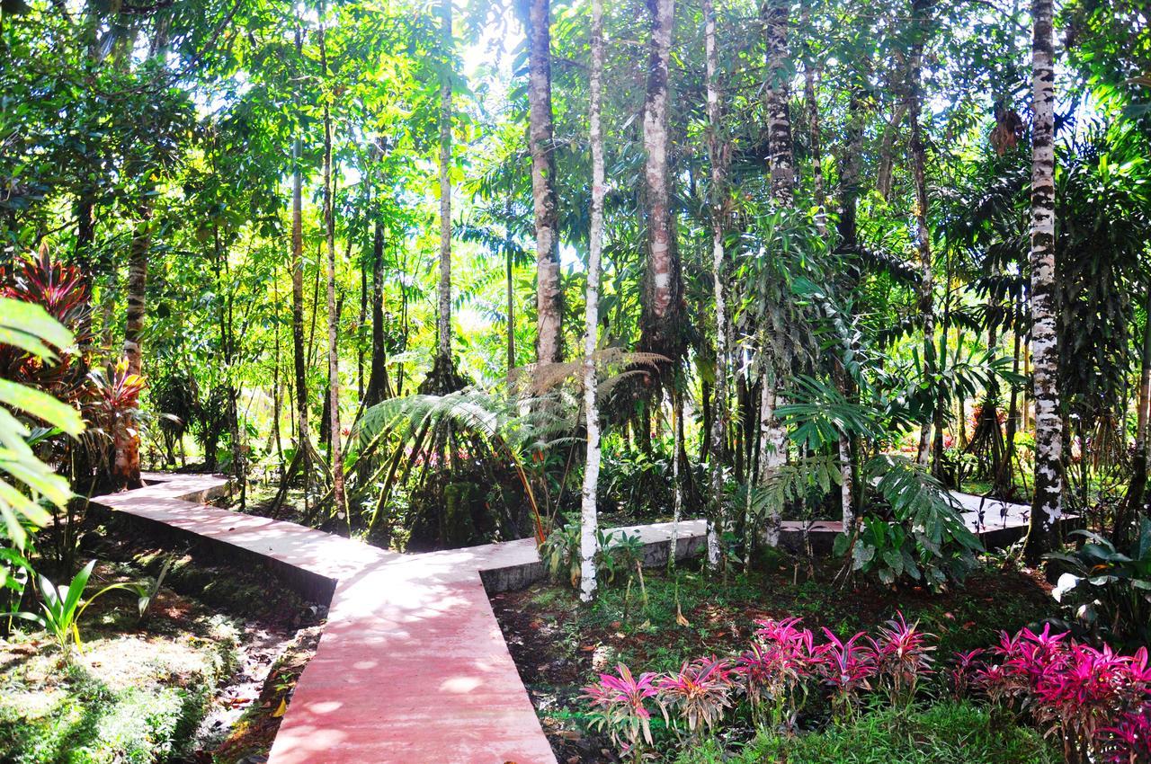Hosteria Finca El Pigual Puyo Ngoại thất bức ảnh
