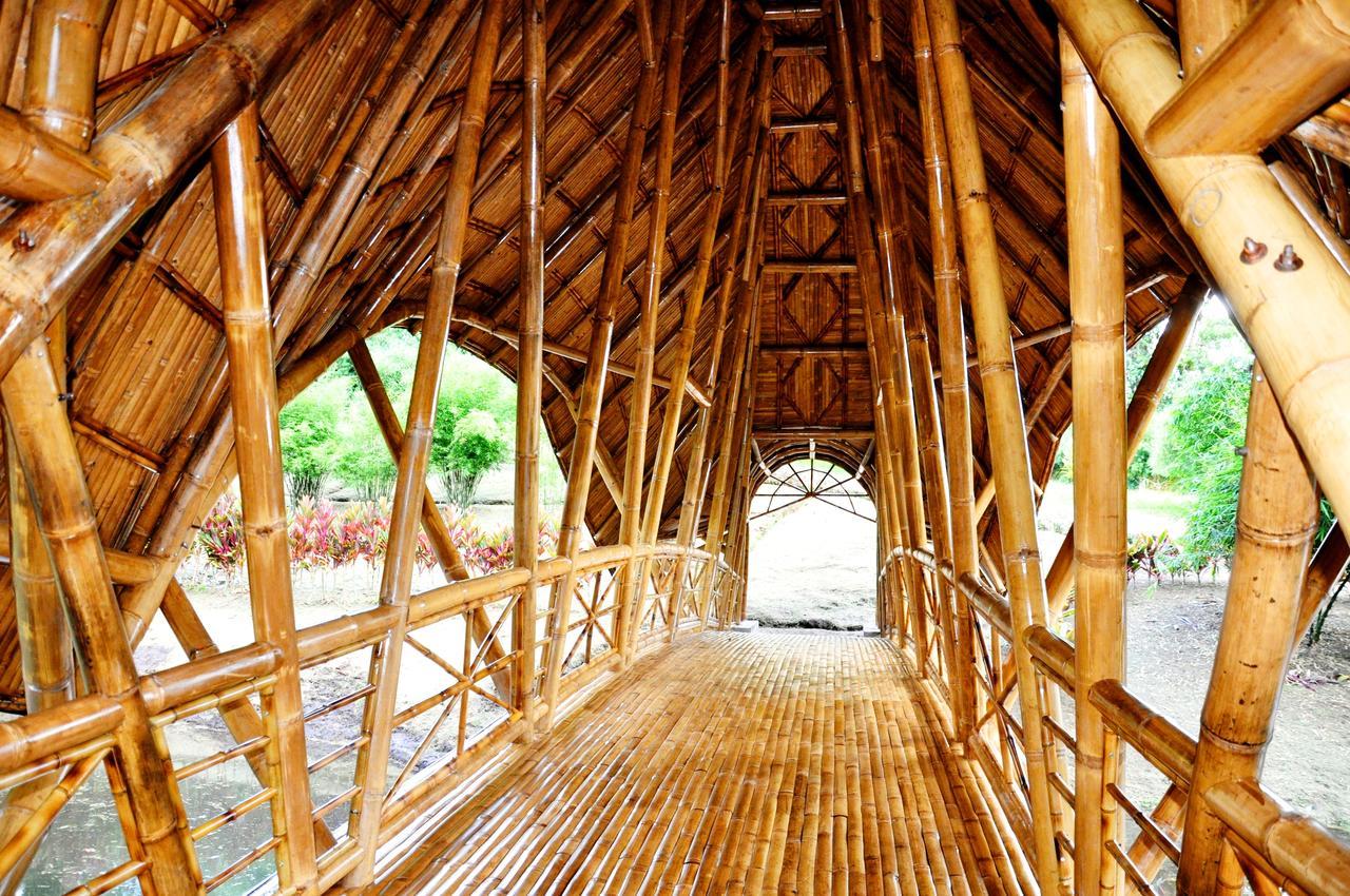 Hosteria Finca El Pigual Puyo Ngoại thất bức ảnh